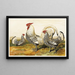 Hambourgs Argentés Tachetés - Harrison Weir — framed artwork on a wall