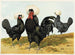 Polish painting with a white crest - Harrison Weir — artwork view