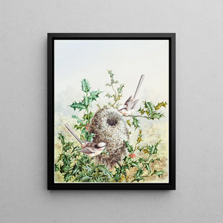Harry Bright - Coral Buntings and Their Nest in a Holly Tree.webp