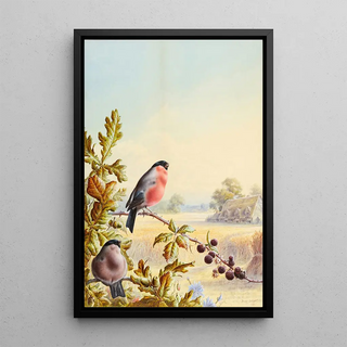 Harry Bright - Summer A Pair of Bullfinch.webp