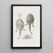Memorias del Museo de Zoología Comparada de la Universidad de Harvard Pl22 - Museo de Zoología Comparada de la Universidad de Harvard — cuadro enmarcado en la pared