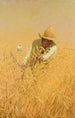 Wheat Harvest Painting - Harvey T. Dunn — artwork view