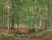 Un claro en el bosque - Heinrich Böhmer — vista de la obra