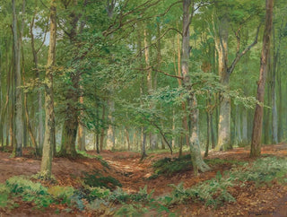 Un claro en el bosque - Heinrich Böhmer — vista de la obra