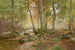 Paisaje forestal - Heinrich Böhmer — vista de la obra