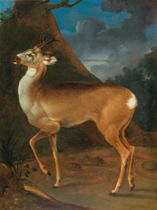 Heinrich Lihl - A roebuck.webp