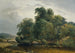 Paisaje con rebaño y pastora - Heinrich Peyer — vista de la obra