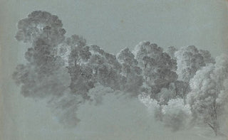 Heinrich Rieter - Forest Treetops Struck by Light.webp