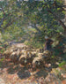 Herd of sheep with shepherdess in a shaded hollow - Heinrich von Zügel — artwork view