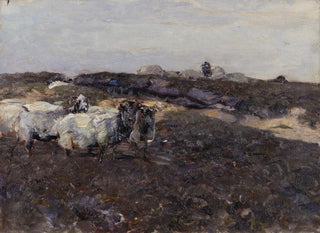 Heinrich Von Zgel - Sheeps in Moorland.webp