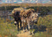 Two Donkeys - Heinrich von Zügel — artwork view