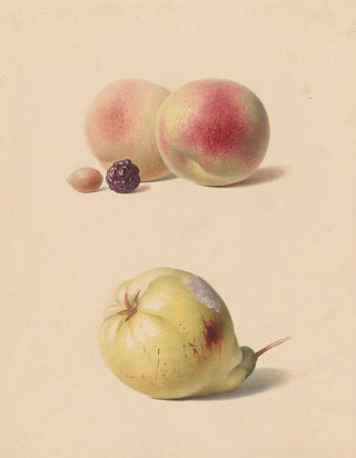 Hendrik Reekers - Perzik braam en hazelnoot en een peer.webp