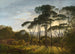 Italian landscape with parasol pines - Hendrik Voogd — artwork view