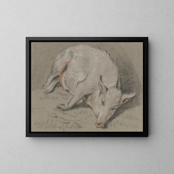 Cerdo acostado - Hendrik Willem Schweickhardt — cuadro enmarcado en la pared
