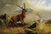 Ciervo en el arroyo de montaña - Henry Morris — vista de la obra