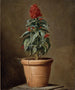 Una planta en maceta - Henri-Horace Roland Delaporte — vista de la obra