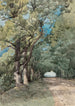 Allée sous-bois - Henri-Joseph Harpignies — vista de la obra
