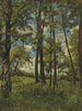 La Clairière - Henri-Joseph Harpignies — vista de la obra