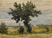 L'arbre au bord du chemin - Henri-Joseph Harpignies — vista de la obra