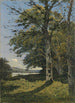 Los márgenes del Yonne - Henri-Joseph Harpignies — vista de la obra