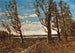 Paisaje con viento - Henri-Joseph Harpignies — vista de la obra