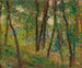 Bosque Sombrío - Henri Martin — vista de la obra