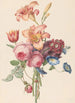 Bouquet - Henriette Geertruida Knip — vista de la obra
