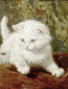 Curiosidad - Henriette Ronner-Knip — vista de la obra