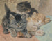 Tres gatitos - Henriette Ronner-Knip — vista de la obra