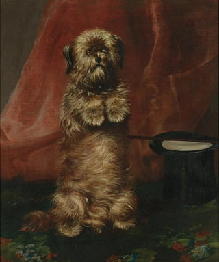 Henry Barraud - Sit Up Sir Ginger.webp