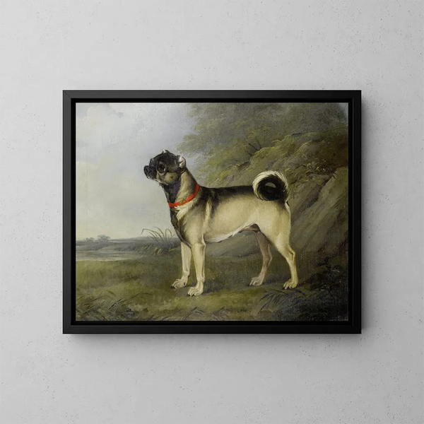 Una perra pug favorita - Henry Bernard Chalon — cuadro enmarcado en la pared