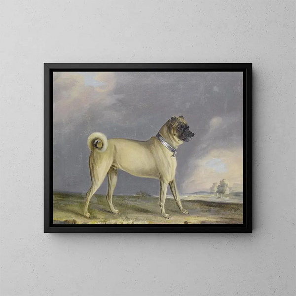 Un perro pug - Henry Bernard Chalon — cuadro enmarcado en la pared