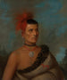 Pes-Ke-Le-Cha-Co - Henry Inman — vista de la obra