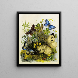 Henry Noel Humphreys - The Butterfly Vivarium or Insect home Pl 2.webp