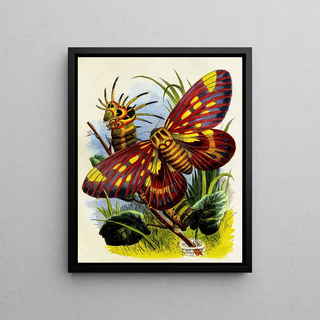 Henry Noel Humphreys - The Butterfly Vivarium or Insect home Pl 7.webp