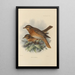 Merula Naumanni - Henry Seebohm — cuadro enmarcado en la pared
