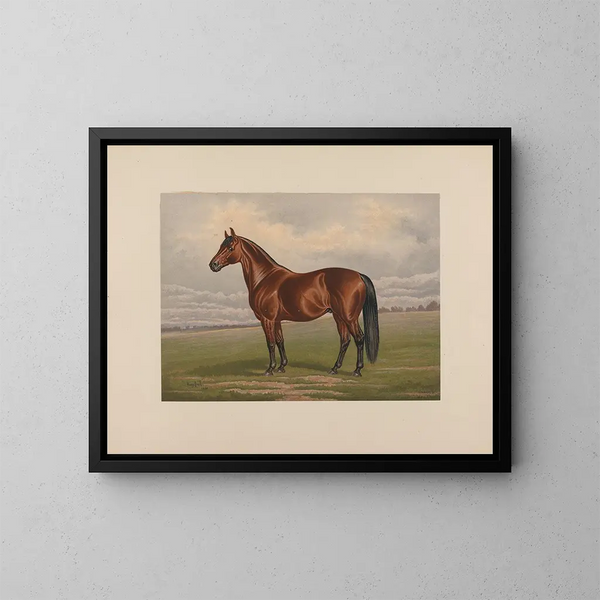 Harold - Henry Stull — framed artwork on a wall