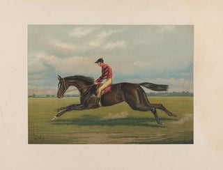 Iroquois - Henry Stull — vista de la obra