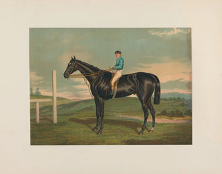 Henry Stull - Leamington.webp