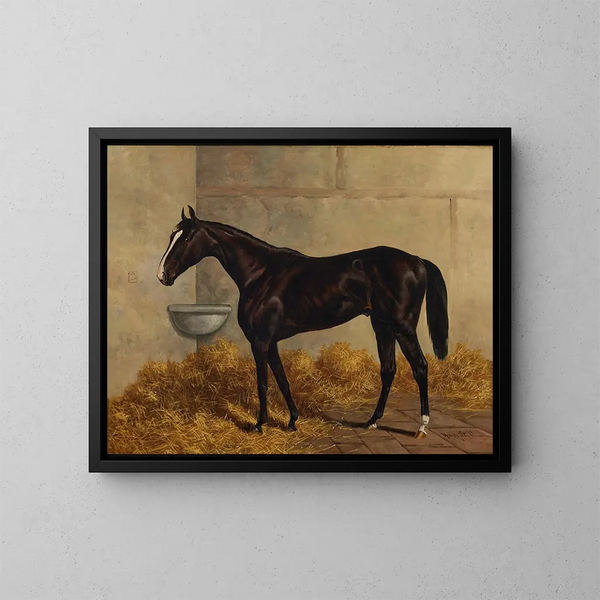 a black racehorse in a stable - Henry Stull — framed artwork on a wall