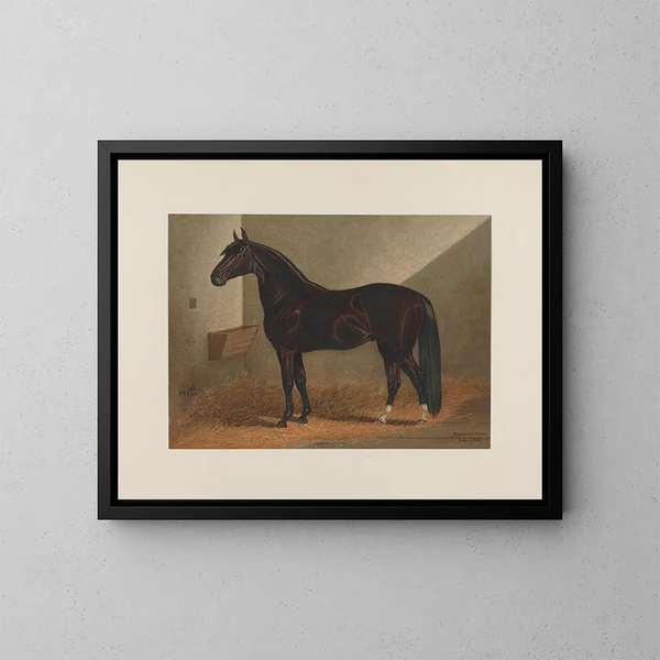 Messenger Duroc - Henry Stull — framed artwork on a wall
