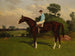 Nasturtium con jockey en silla - Henry Stull — vista de la obra