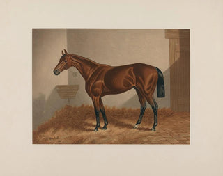 Henry Stull - Ten Broeck Bay Horse.webp