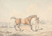 Un cuidador de caballos guiando un caballo castaño - Henry Thomas Alken — vista de la obra