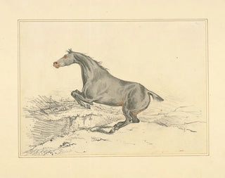 Caballo saltando - Henry Thomas Alken — vista de la obra