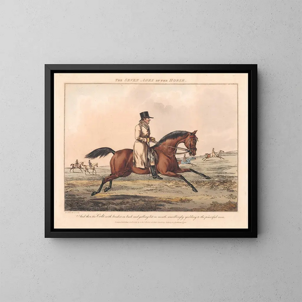 Les Sept Âges du Cheval - Henry Thomas Alken — framed artwork on a wall