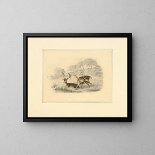Henry Thomas Alken - Two deer near a running fence.webp