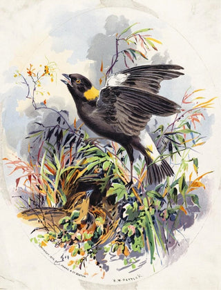 Henry Walker Herrick - Bird Family in Nest Among Grasses.webp