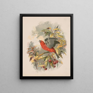 Henry Walker Herrick - Scarlet tanager on a cherry tree branch.webp