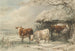 Vacas en invierno - Henry Willis — vista de la obra